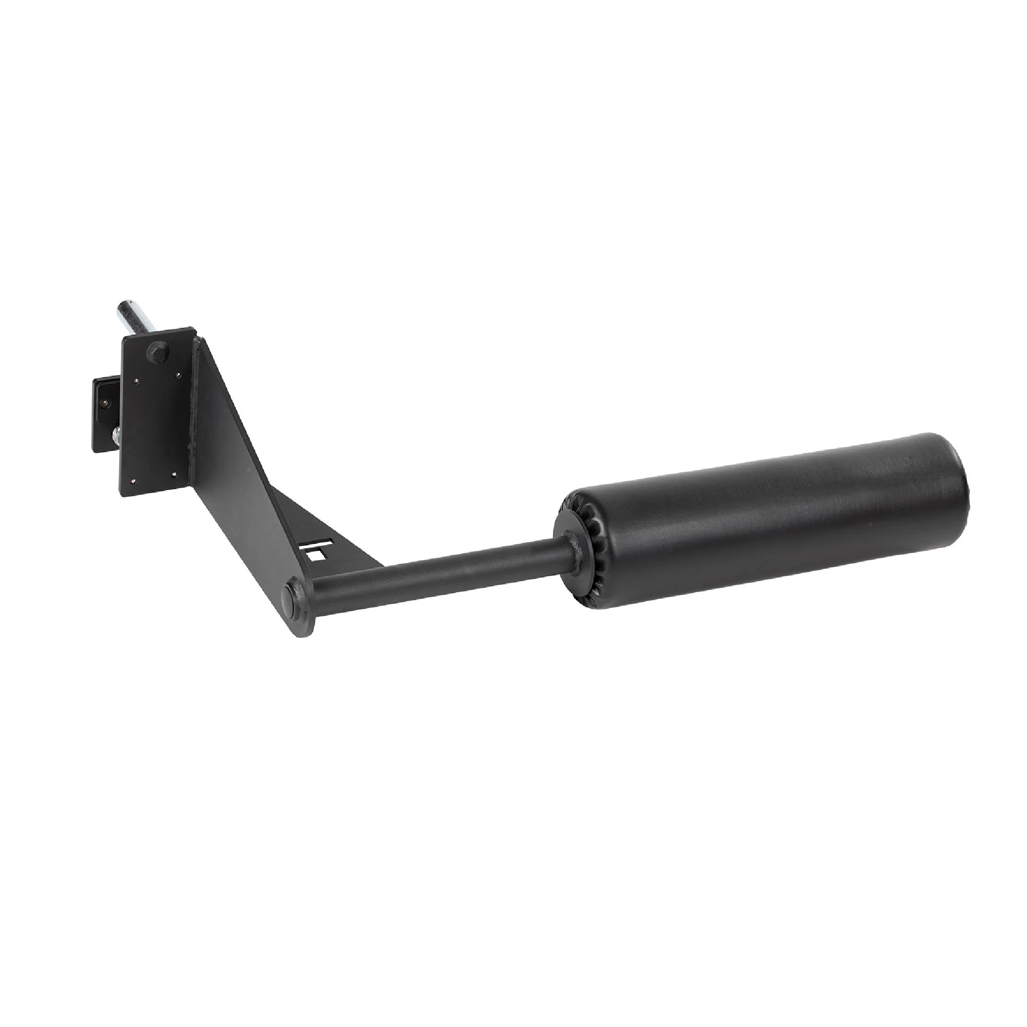 Rack Mount Leg Roller and Lat Tower Knee Holder